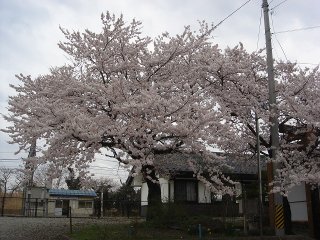 20120426-DSC00440.jpg