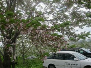 20120501-IMG_0720.JPG