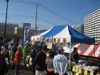 20131126-IMG_2047.jpg 20131126-IMG_2047.jpg