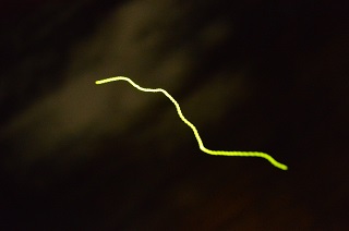 20150714-232.JPG 20150714-232.JPG